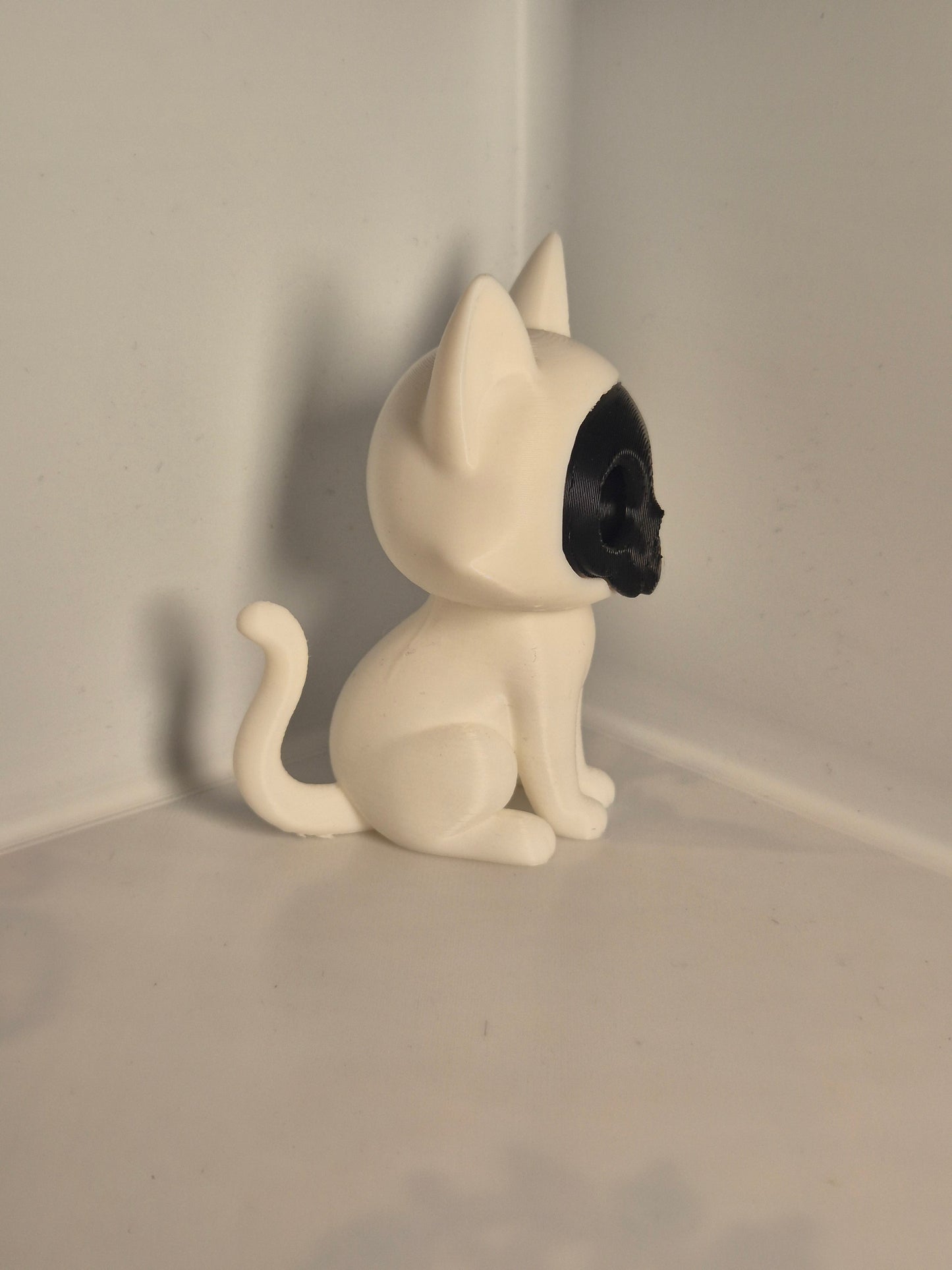 Mystic Skull Cat