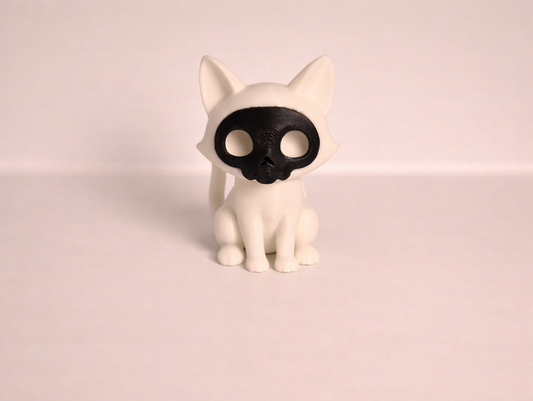 Mystic Skull Cat